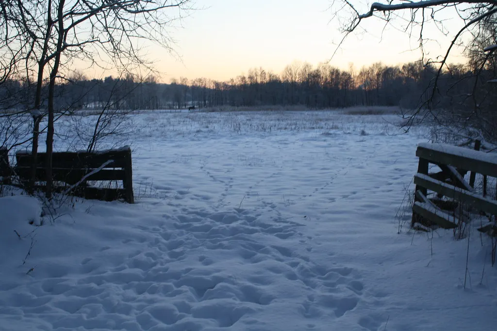 the cold swedish winter