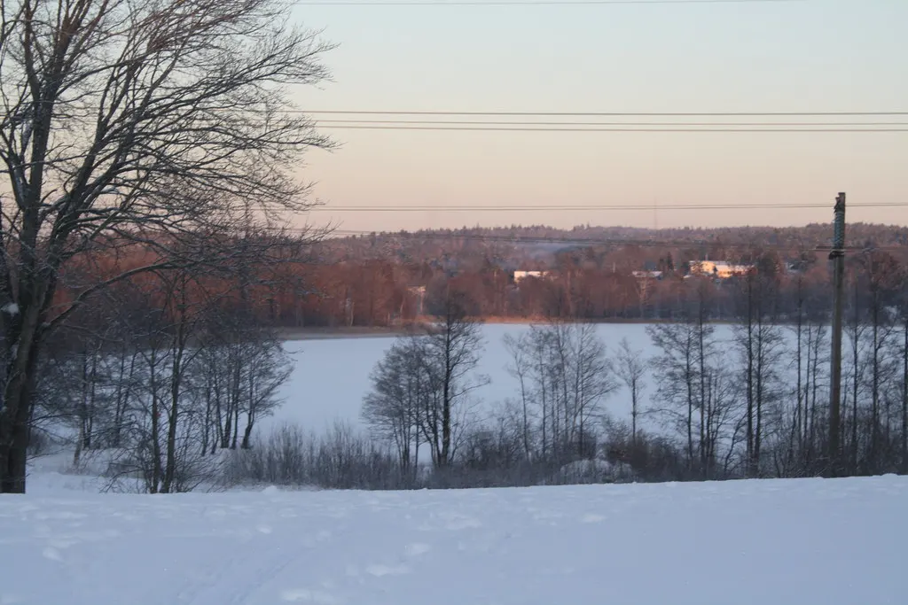 the cold swedish winter
