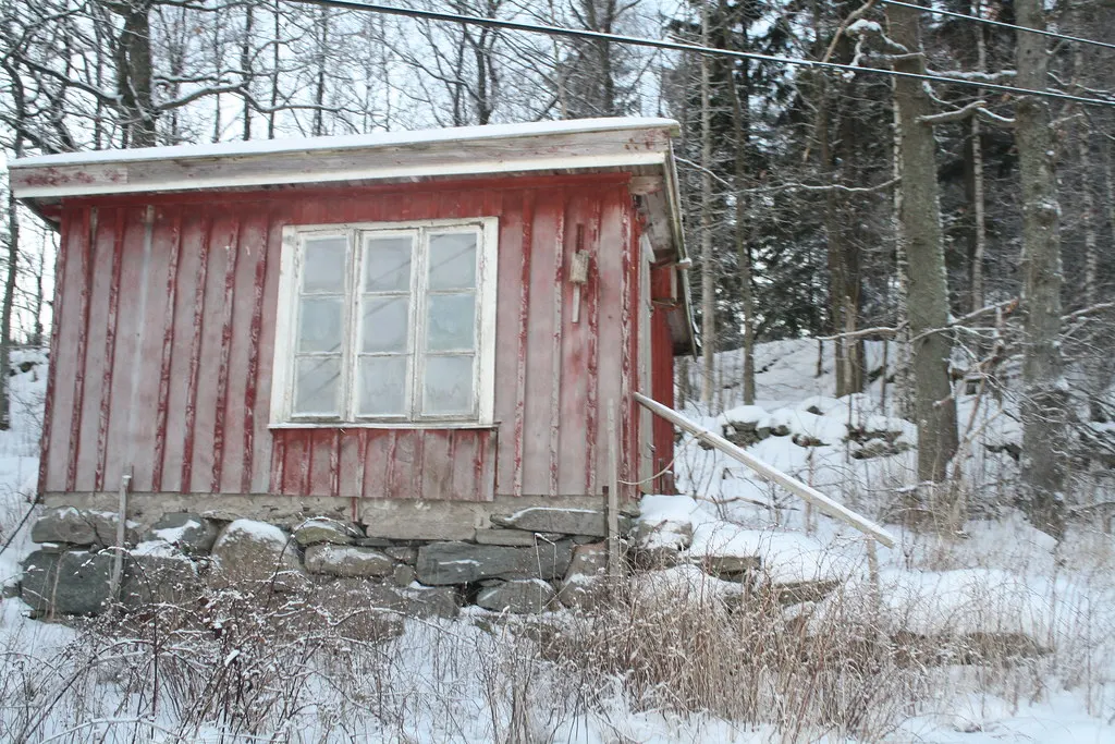 the cold swedish winter