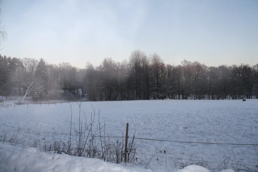 the cold swedish winter