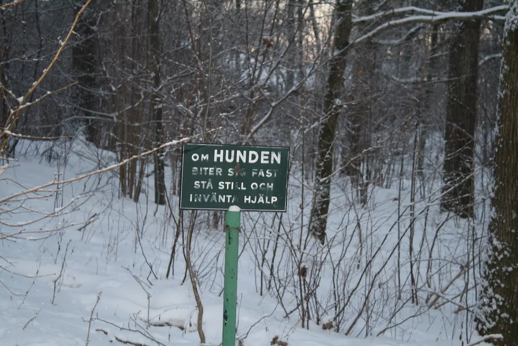 the cold swedish winter
