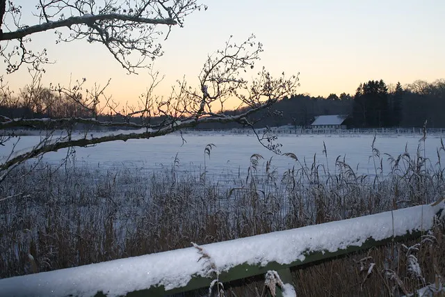 the cold swedish winter
