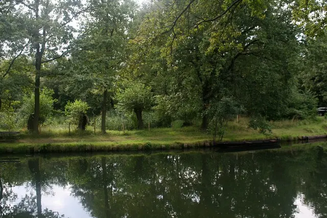 anniversary in spreewald
