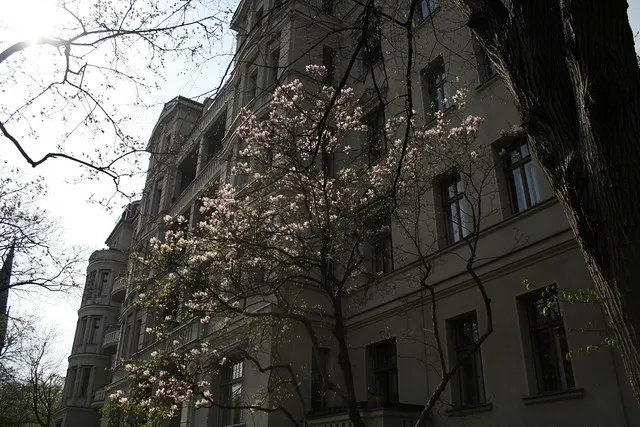 kreuzberg walk