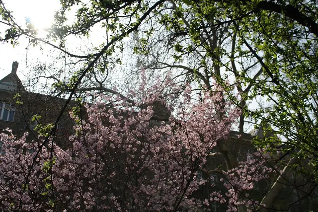 kreuzberg walk
