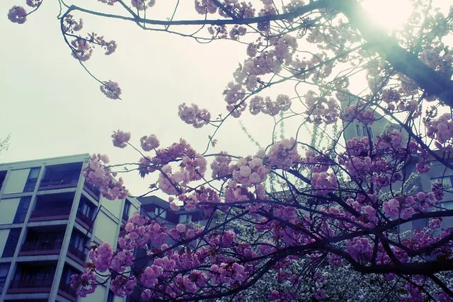 a stroll around berlin