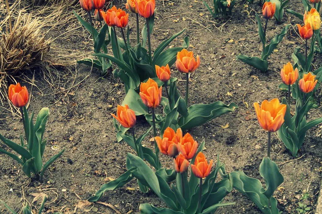 a stroll around berlin