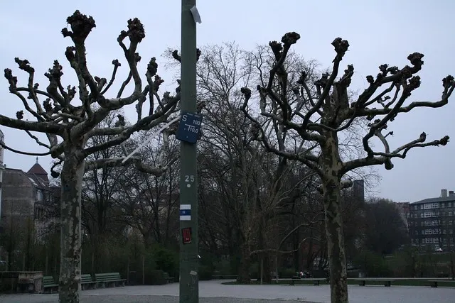 along kaiserdamm