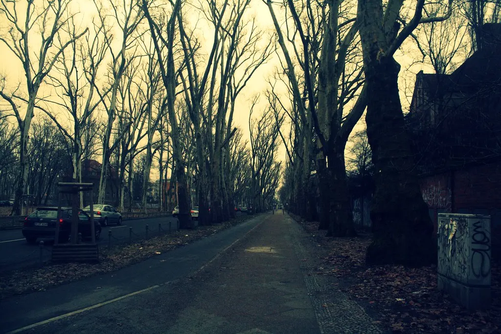 along puschkinallee