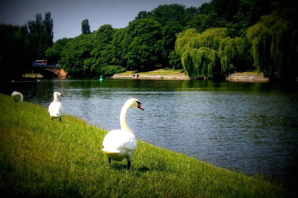 along the landwehrkanal
