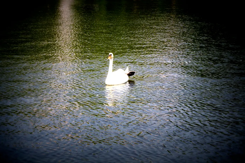 along the landwehrkanal