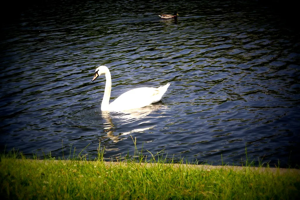 along the landwehrkanal