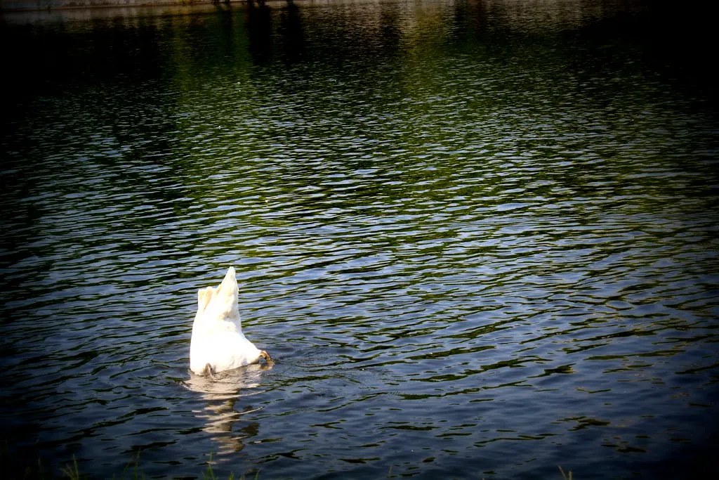 along the landwehrkanal