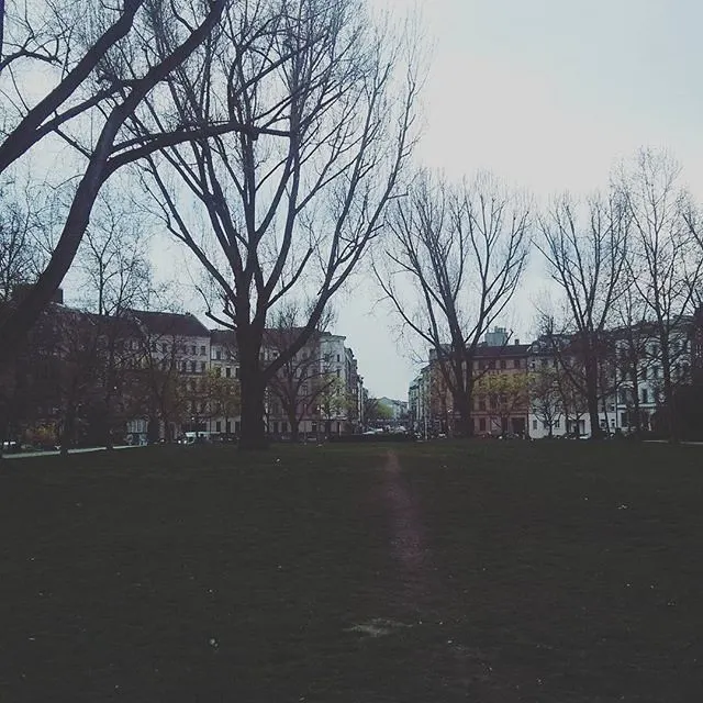 instagram!