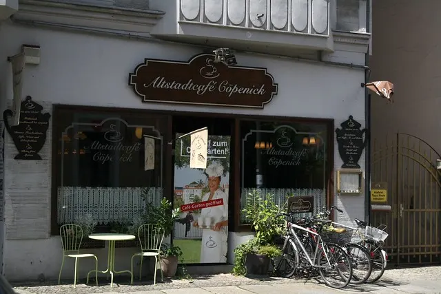 alt-köpenik