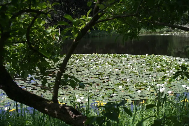 botanischer garten