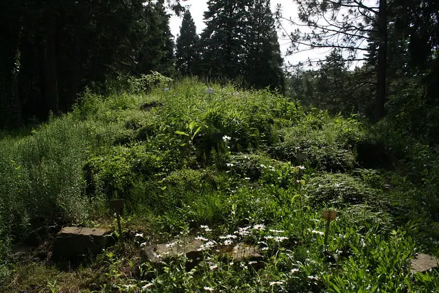 botanischer garten