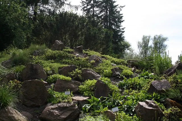 botanischer garten