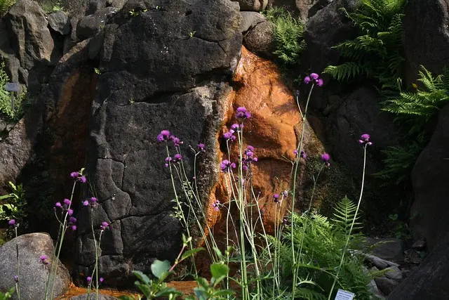 botanischer garten