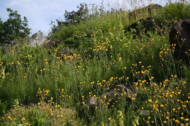 botanischer garten