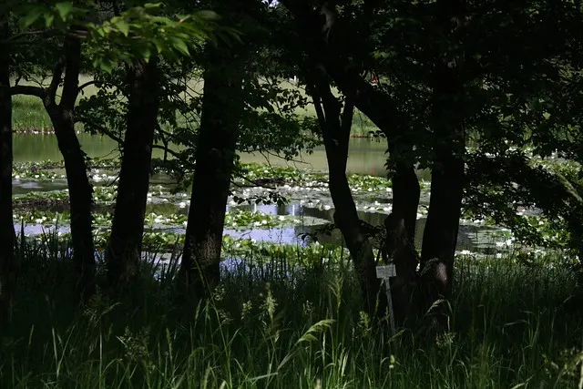 botanischer garten
