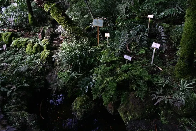 botanischer garten