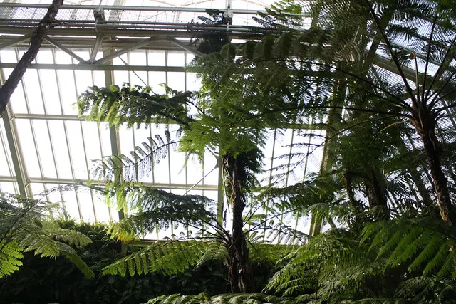 botanischer garten
