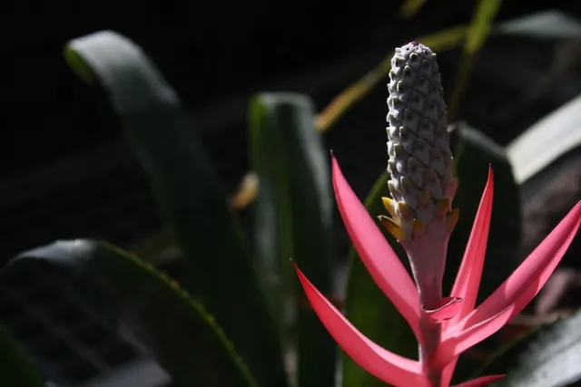 botanischer garten