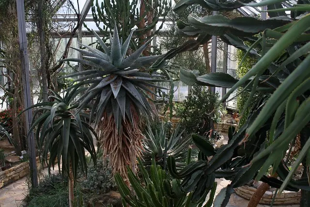 botanischer garten