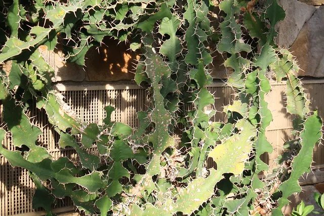 botanischer garten