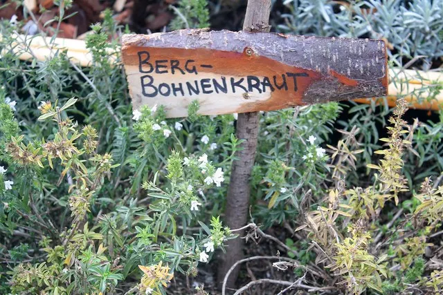 neukölln garten flohmarkt