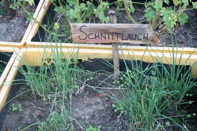 neukölln garten flohmarkt