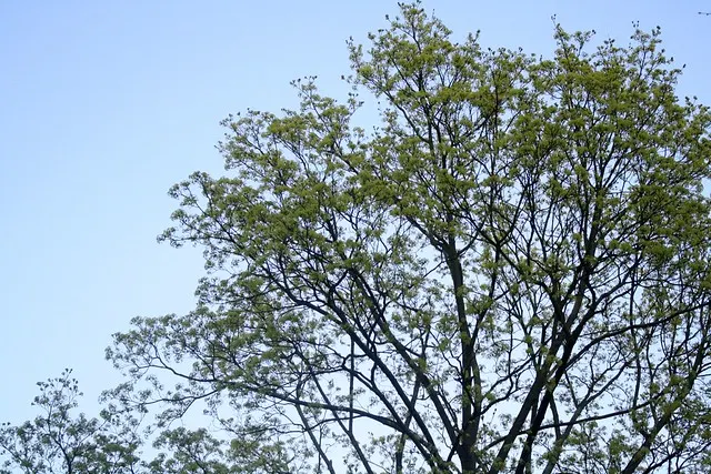 berlin in march