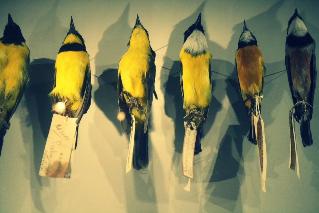 museum für naturkunde