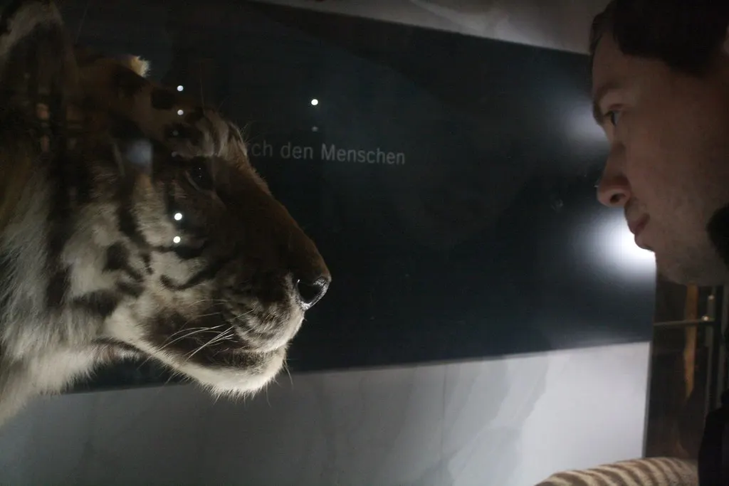 museum für naturkunde
