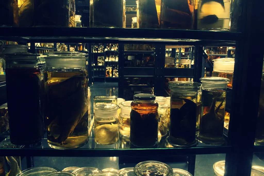 museum für naturkunde