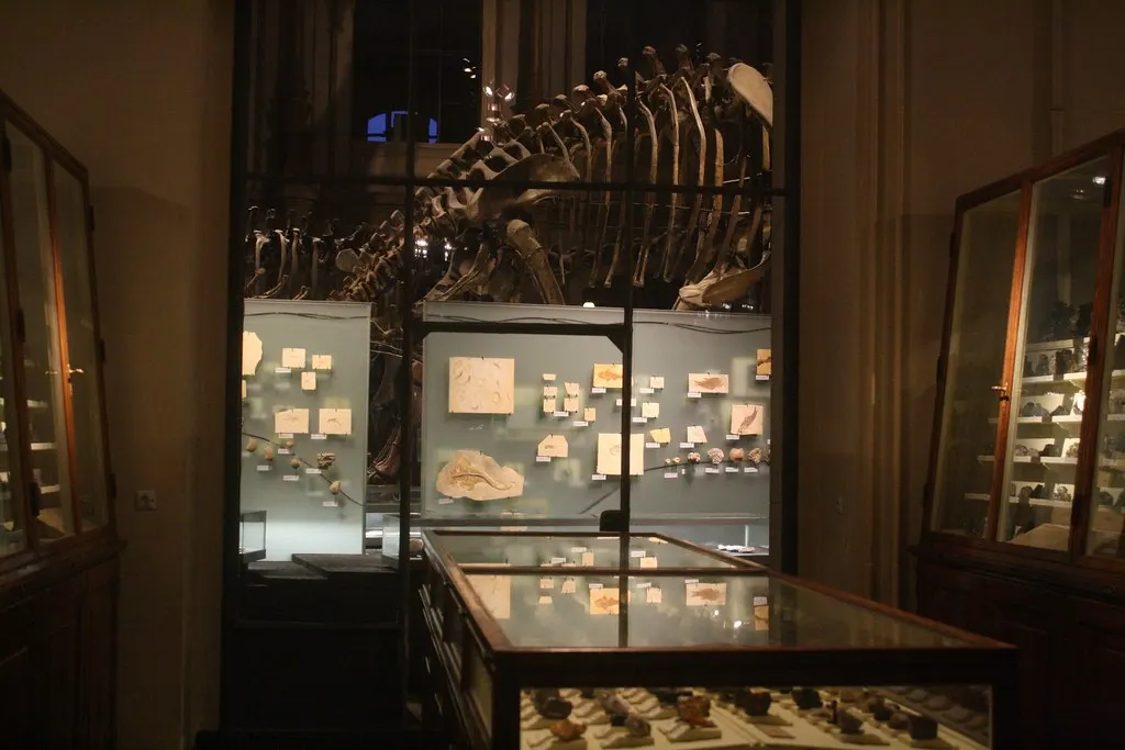 museum für naturkunde