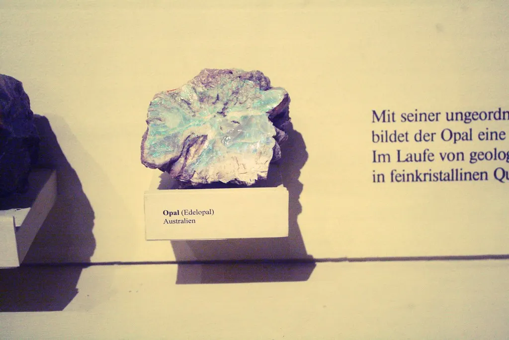 museum für naturkunde