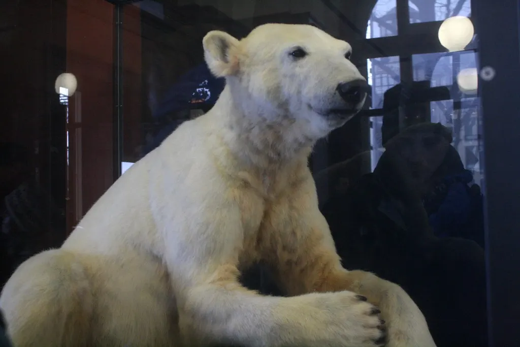 museum für naturkunde