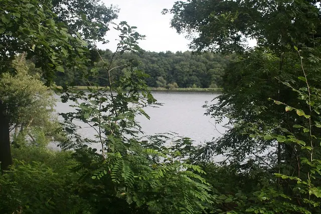 pfaueninsel
