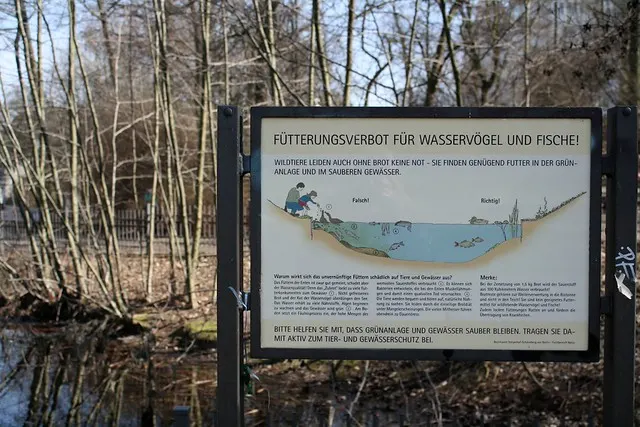 rudolph-wilde park