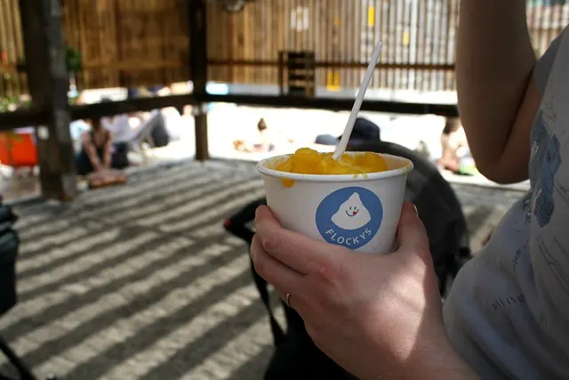 the ice cream market