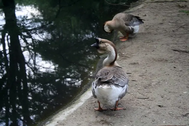 berlin tierpark