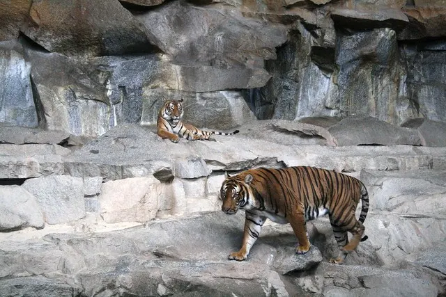 tierpark berlin