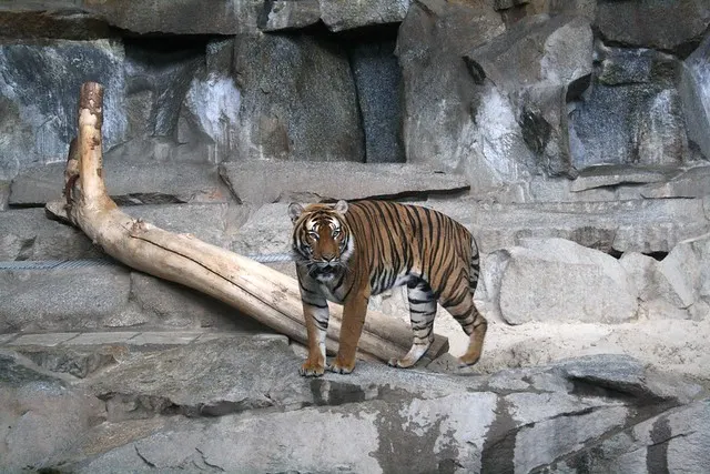 tierpark berlin