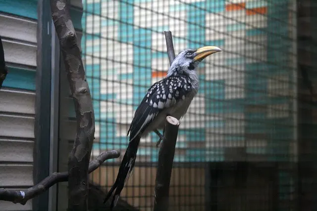 tierpark berlin