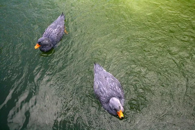 tierpark berlin