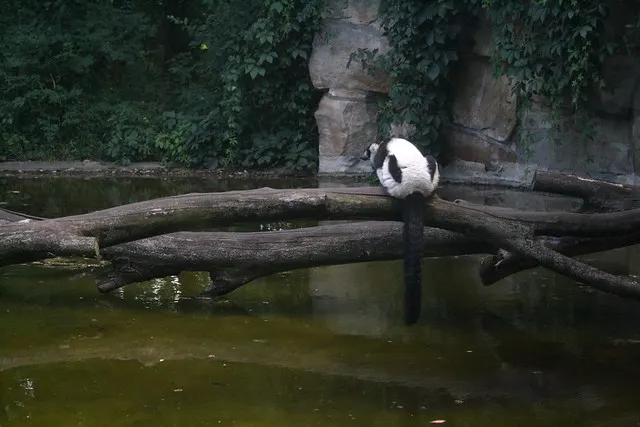 tierpark berlin