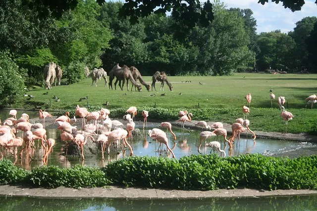 tierpark berlin
