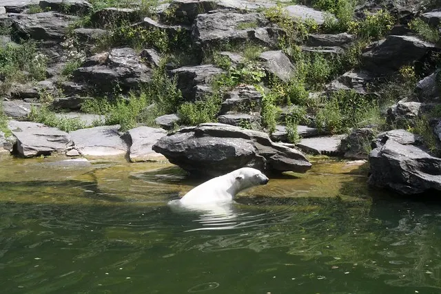 tierpark